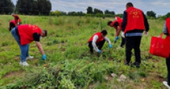 【市城市燃熱集團富泰熱力】公司黨委組織開展除蒿草清垃圾志愿服務活動
